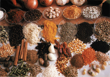 herbs-and-spices-picture