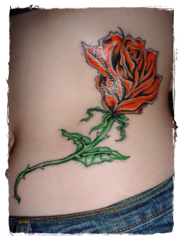 Rose-Tattoo