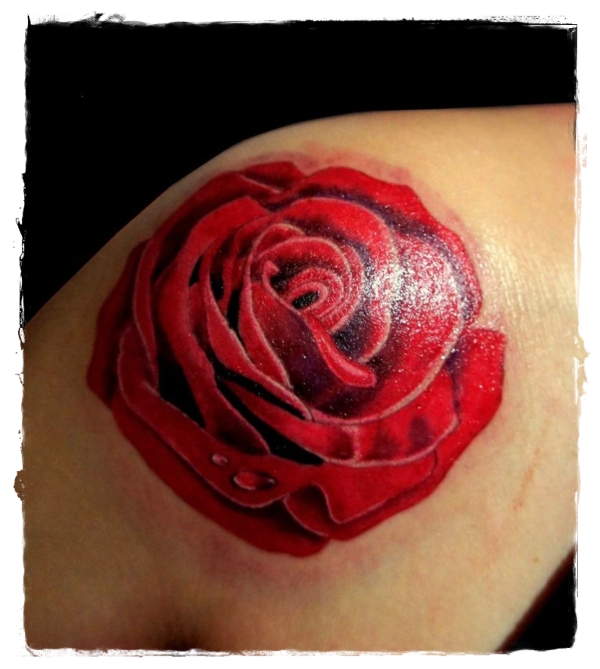 realistic_red_rose