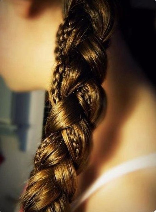 braided hairstyles for long hair (19)