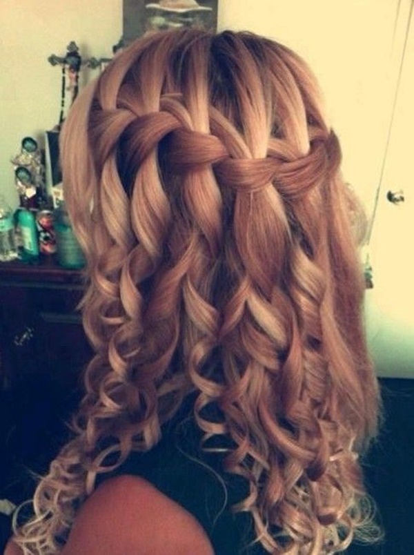 braided hairstyles for long hair (2)