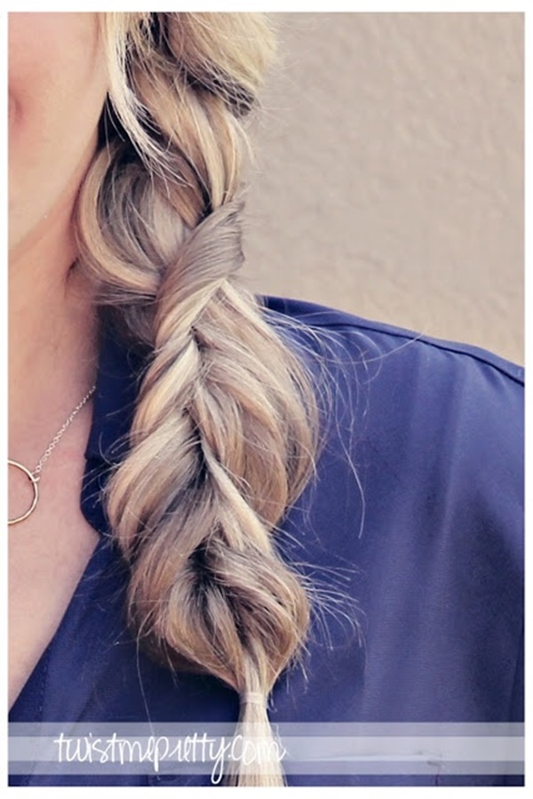braided hairstyles for long hair (98)