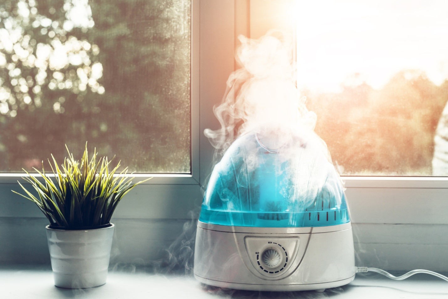 Why Do People Use Humidifiers? 5 Major Benefits of Humidifiers